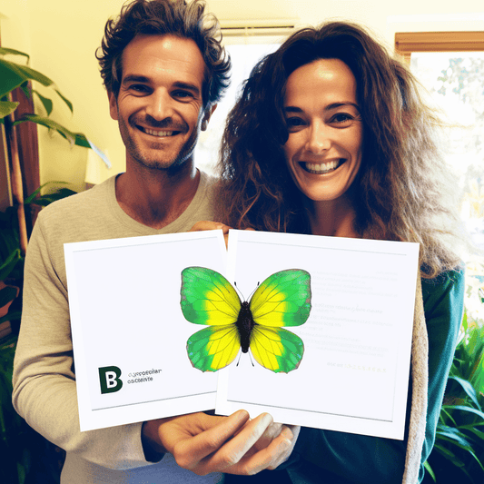 Curso de Crie um Chatbot do Facebook Messenger com o IBM Watson Assistant - IBRATH Instituto Brasileiro de Terapias Holísticas teste031020231005