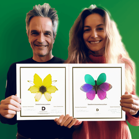 Curso de Inovação para a era digital - IBRATH Instituto Brasileiro de Terapias Holísticas teste031020231007