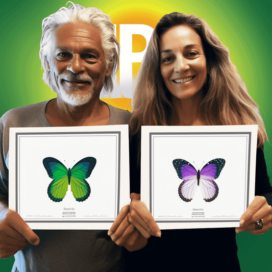 Curso de Treinamento Certificado de Green Belt Lean Six Sigma [2022] - IBRATH Instituto Brasileiro de Terapias Holísticas teste031020231007