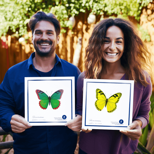 Curso de Criando e aplicando um Guia de Estilo do início ao fim - IBRATH Instituto Brasileiro de Terapias Holísticas teste031020231005