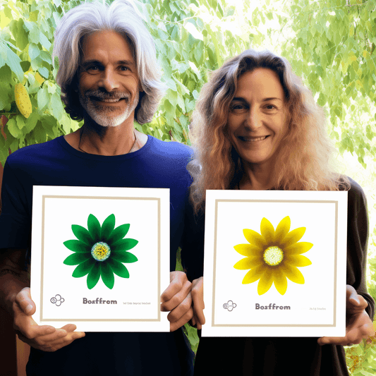 Curso de Torne-se um Estrategista de Networking: crie uma estratégia de networking! - IBRATH Instituto Brasileiro de Terapias Holísticas teste031020231007