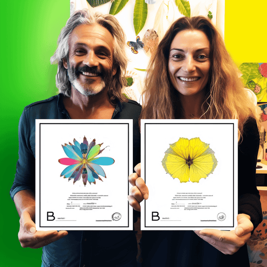 Curso de Domine o D3.js com Conceitos e mais de 25 Projetos | - IBRATH Instituto Brasileiro de Terapias Holísticas teste031020231005