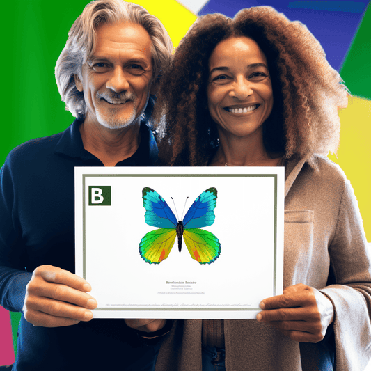 Curso de Modelagem de Processos usando o padrão BPMN - IBRATH Instituto Brasileiro de Terapias Holísticas teste031020231007