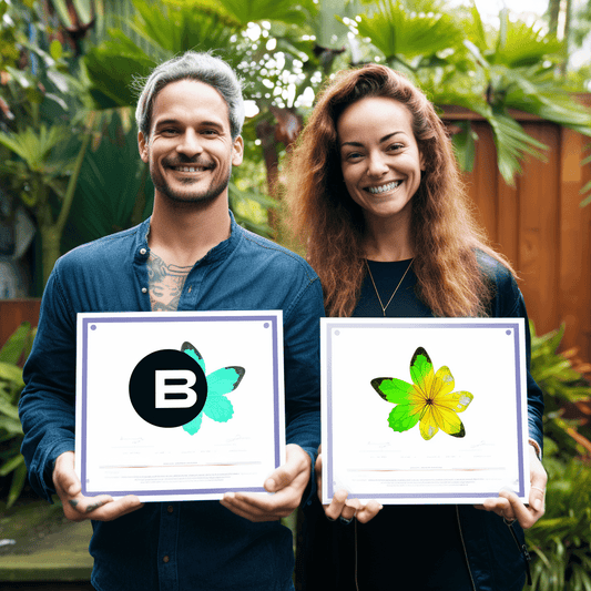 Curso de Aprenda como criar o site da empresa de limpeza através do Wordpress - IBRATH Instituto Brasileiro de Terapias Holísticas teste031020231005