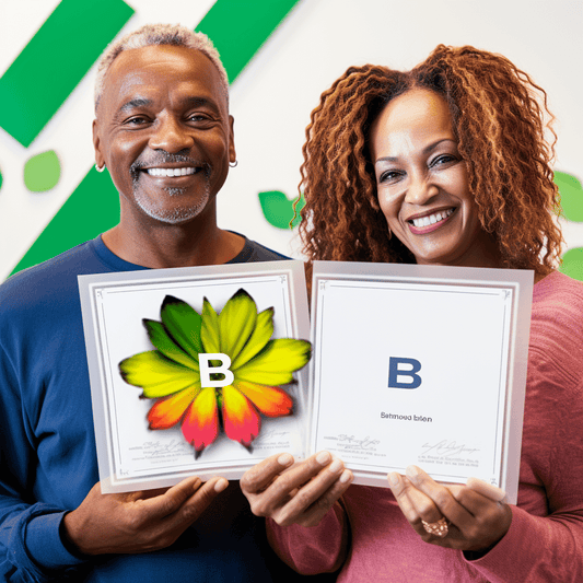 Curso de Programa Completo de Busca de Emprego para os Melhores Empregos de MBA - IBRATH Instituto Brasileiro de Terapias Holísticas teste031020231005