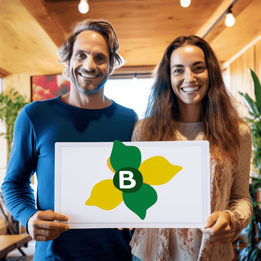 Curso de Modelos de Negócios de Assinatura para Consultores de Gestão - IBRATH Instituto Brasileiro de Terapias Holísticas teste031020231007