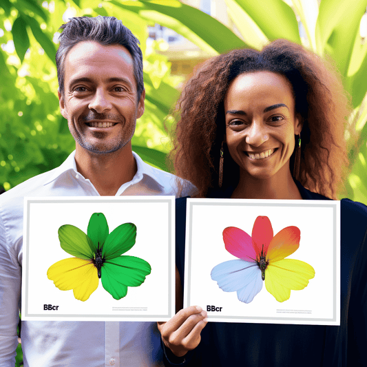 Curso de Como fazer um site Wordpress - Passo a passo!! - IBRATH Instituto Brasileiro de Terapias Holísticas teste031020231005