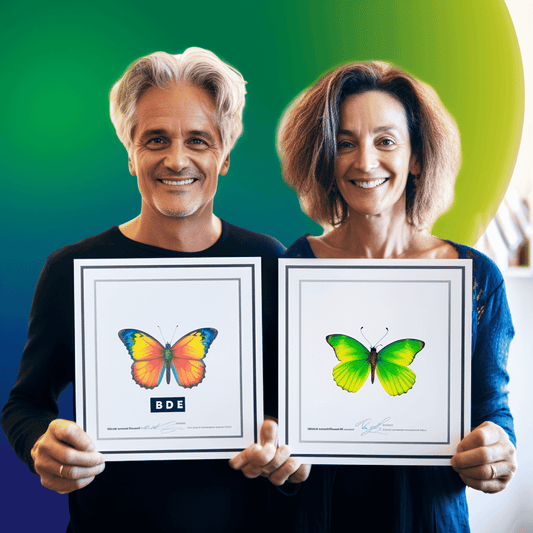 Curso de Estratégias de Discussão em Grupo - IBRATH Instituto Brasileiro de Terapias Holísticas teste031020231005