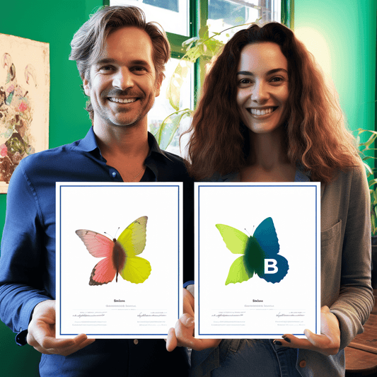 Curso de Prevenir os riscos internacionais - IBRATH Instituto Brasileiro de Terapias Holísticas teste031020231007