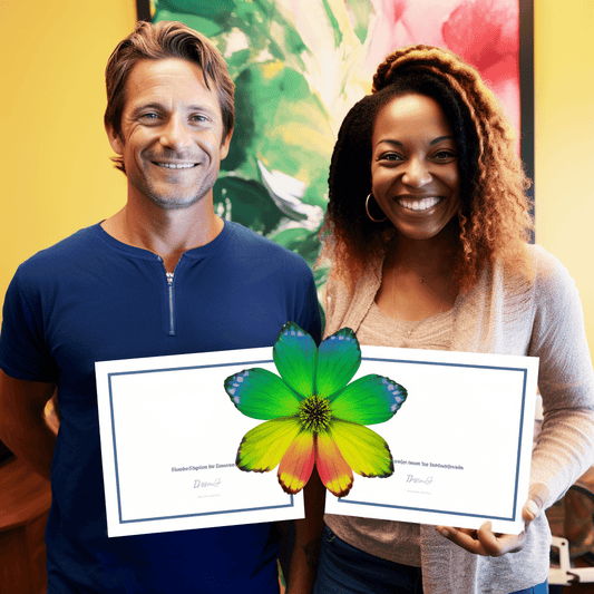 Curso de Organizando o seu negócio - IBRATH Instituto Brasileiro de Terapias Holísticas teste031020231005