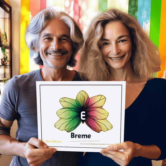 Curso de Publicar um Ebook lucrativo! [Criar e Vender seu Ebook] - IBRATH Instituto Brasileiro de Terapias Holísticas teste031020231005