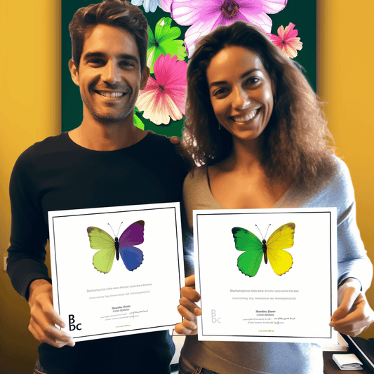 Curso de Interpretação completa da norma ISO 9001:2015 - IBRATH Instituto Brasileiro de Terapias Holísticas teste031020231005