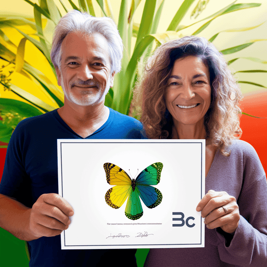 Curso de Império Fiverr: Inicie uma carreira no Fiverr e corretagem no Fiverr - IBRATH Instituto Brasileiro de Terapias Holísticas teste031020231005