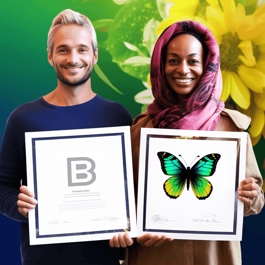 Curso de Vender com webinars - IBRATH Instituto Brasileiro de Terapias Holísticas teste031020231007