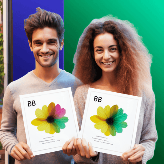 Curso de Crie APIs GraphQL com Elixir e Absinthe - IBRATH Instituto Brasileiro de Terapias Holísticas teste031020231005