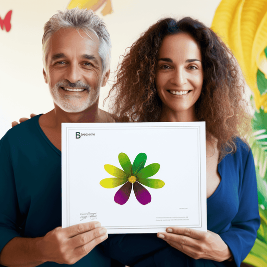 Curso de Toda a Documentação e Procedimentos de Exportação | Qualquer Origem - IBRATH Instituto Brasileiro de Terapias Holísticas teste031020231007