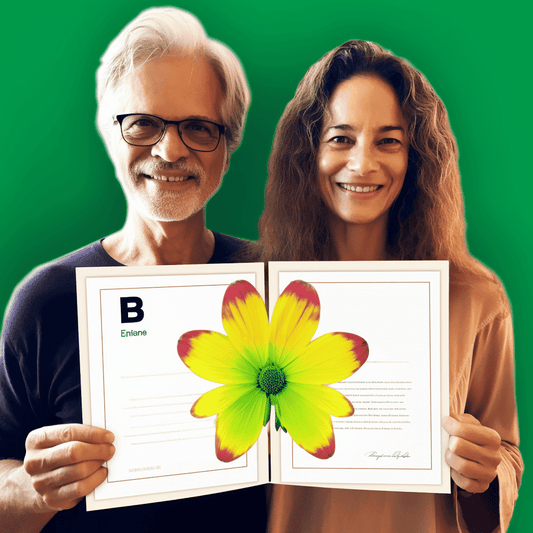 Curso de Gestão de Compras e Negociação Estratégica - IBRATH Instituto Brasileiro de Terapias Holísticas teste031020231005