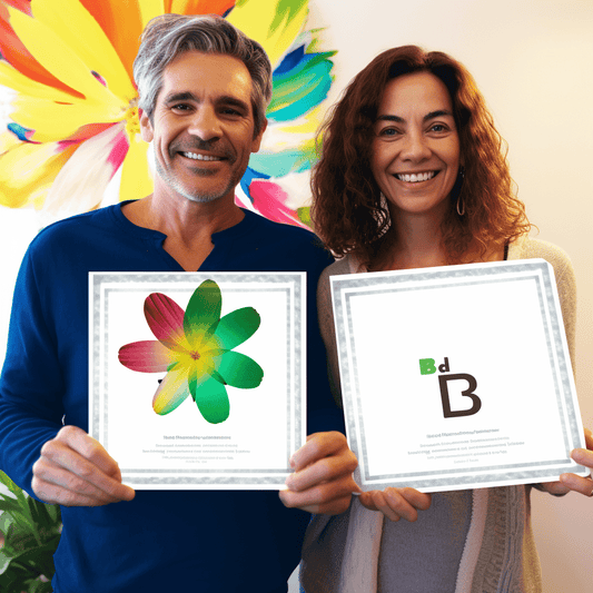 Curso de Lições aprendidas em HVAC - IBRATH Instituto Brasileiro de Terapias Holísticas teste031020231007