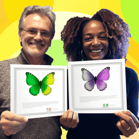 Curso de Teste de prática de perguntas do exame de Green Belts do Six Sigma - IBRATH Instituto Brasileiro de Terapias Holísticas teste031020231007