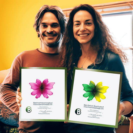 Curso de O Curso Completo de Comércio Internacional - Exportações Simplificadas - IBRATH Instituto Brasileiro de Terapias Holísticas teste031020231007