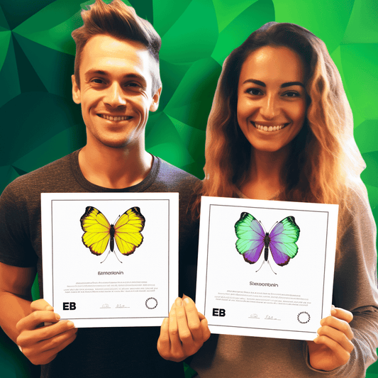 Curso de Aprenda Python MySql Opencv do zero e desenvolva alertas de criptografia - IBRATH Instituto Brasileiro de Terapias Holísticas teste031020231005