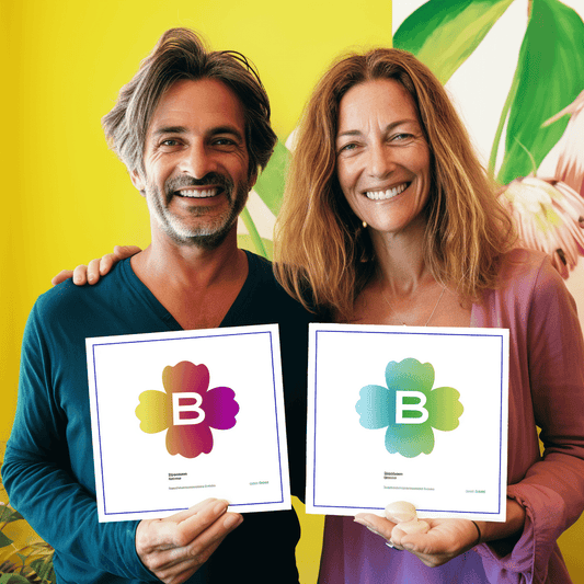 Curso de Introdução à Gestão Estratégica - IBRATH Instituto Brasileiro de Terapias Holísticas teste031020231005