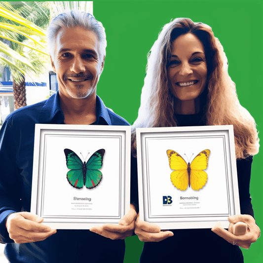 Curso de Aprenda a resistir à censura na internet (Descentralizado) - IBRATH Instituto Brasileiro de Terapias Holísticas teste031020231005