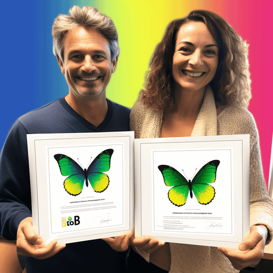 Curso de Tornar-se freelancer, passo 1: mentalidade e estado de espírito! - IBRATH Instituto Brasileiro de Terapias Holísticas teste031020231005