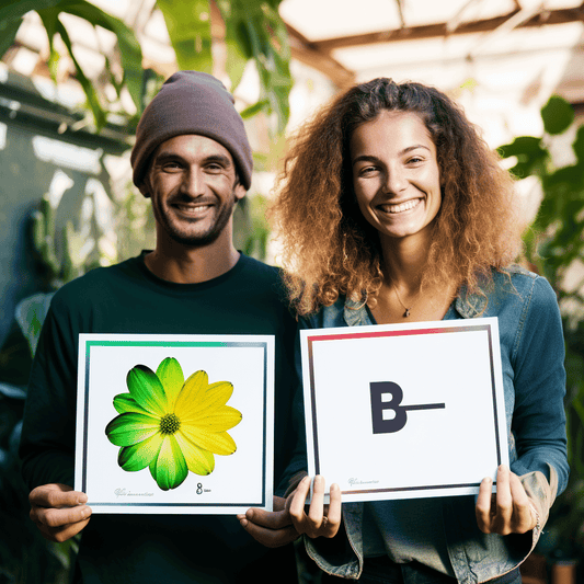 Curso de Fundamentos de Melhoria de Processos - IBRATH Instituto Brasileiro de Terapias Holísticas teste031020231007