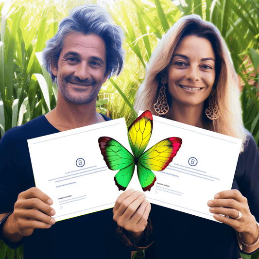 Curso de Vendas: Como Conseguir de 2 a 5 Grandes Vendas Todos os Meses - IBRATH Instituto Brasileiro de Terapias Holísticas teste031020231005