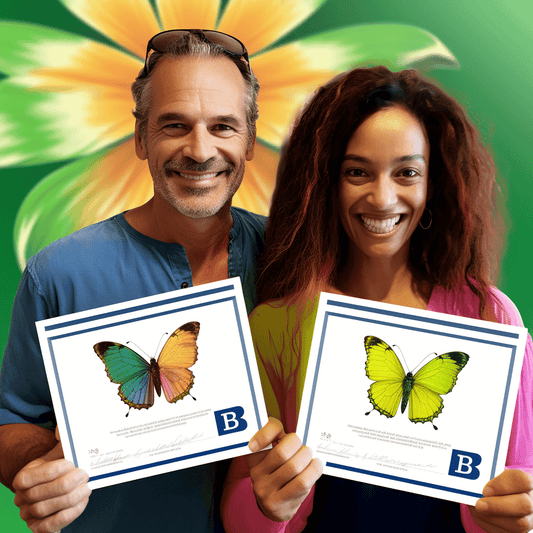 Curso de Curso de Formação de SDRs e BDRs - IBRATH Instituto Brasileiro de Terapias Holísticas teste031020231005