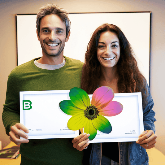 Curso de Crie um site de classificados sem programação! - IBRATH Instituto Brasileiro de Terapias Holísticas teste031020231005