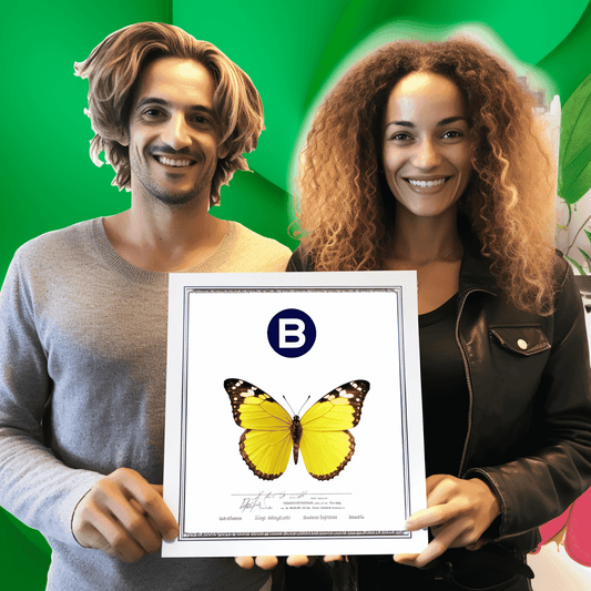 Curso de Alta performance da equipe e organizacional - Como alcançar? - IBRATH Instituto Brasileiro de Terapias Holísticas teste031020231005