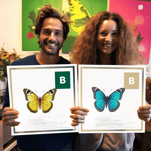 Curso de Gerenciamento de Riscos - IBRATH Instituto Brasileiro de Terapias Holísticas teste031020231005