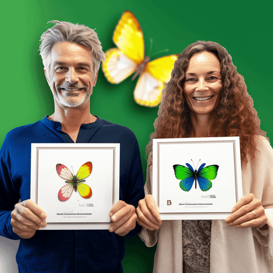 Curso de Monitoramento e Controle de Projetos de Construção - IBRATH Instituto Brasileiro de Terapias Holísticas teste031020231007