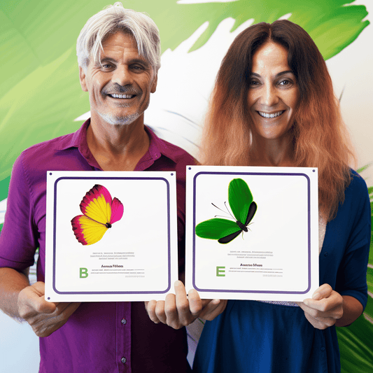 Curso de Masterclass do Vendedor - IBRATH Instituto Brasileiro de Terapias Holísticas teste031020231007