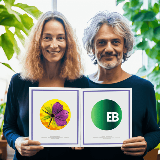 Curso de Crie um webinar gratuito do zero e aumente suas vendas - IBRATH Instituto Brasileiro de Terapias Holísticas teste031020231005