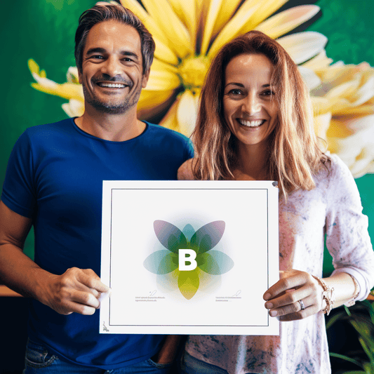 Curso de Análise de Risco Primavera - IBRATH Instituto Brasileiro de Terapias Holísticas teste031020231007