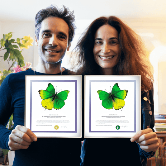 Curso de Como criar clientes que te amam - IBRATH Instituto Brasileiro de Terapias Holísticas teste031020231007