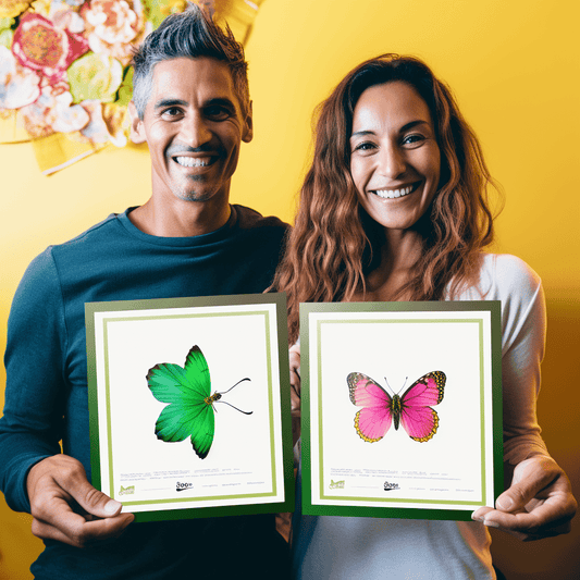 Curso de Questões de teste L5M8 - IBRATH Instituto Brasileiro de Terapias Holísticas teste031020231005