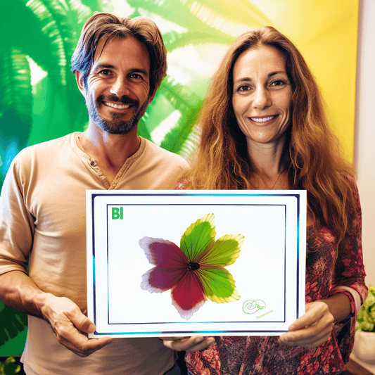 Curso de Logística, Transporte e Distribuição | CLTD 2022 - IBRATH Instituto Brasileiro de Terapias Holísticas teste031020231005