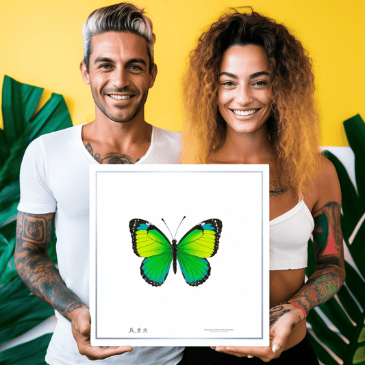 Curso de Angular 8 e 9 - Elementos - IBRATH Instituto Brasileiro de Terapias Holísticas teste031020231005