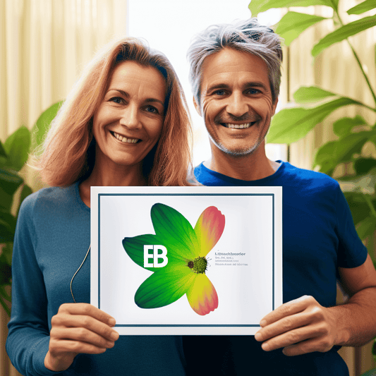 Curso de Treinamento de Projeto de Comércio Eletrônico do Zero com Laravel - IBRATH Instituto Brasileiro de Terapias Holísticas teste031020231005