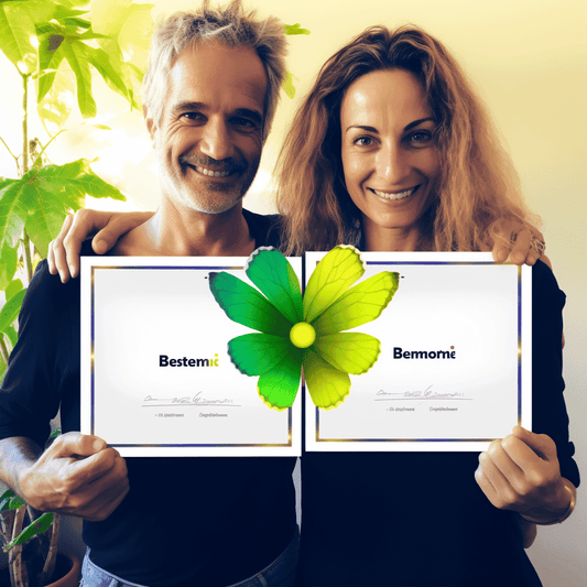 Curso de NLP para Vendas, Persuasão e Influência: Certificado em NLP e Vendas - IBRATH Instituto Brasileiro de Terapias Holísticas teste031020231005