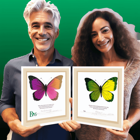 Curso de Aprenda a estratégia única de opções binárias - IBRATH Instituto Brasileiro de Terapias Holísticas teste031020231007