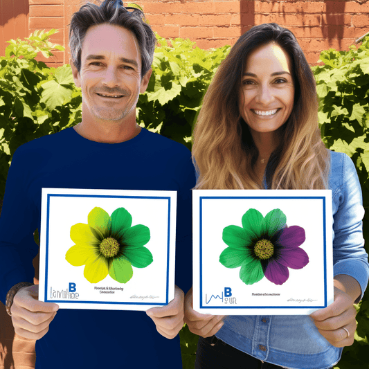 Curso de Módulo 1: Projeto de Rede de Cadeia de Suprimentos - IBRATH Instituto Brasileiro de Terapias Holísticas teste031020231007