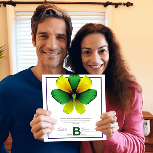 Curso de Bem-estar Emocional e Financeiro na Empresa Familiar - IBRATH Instituto Brasileiro de Terapias Holísticas teste031020231005