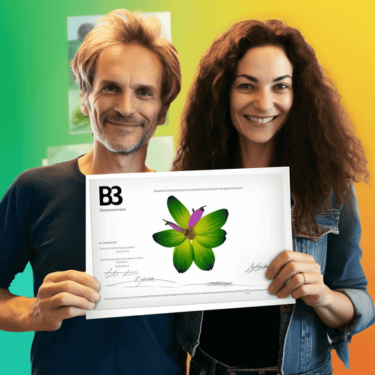 Curso de Narzędzia de inferência lógica - produção através dos olhos de um gênio - IBRATH Instituto Brasileiro de Terapias Holísticas teste031020231005