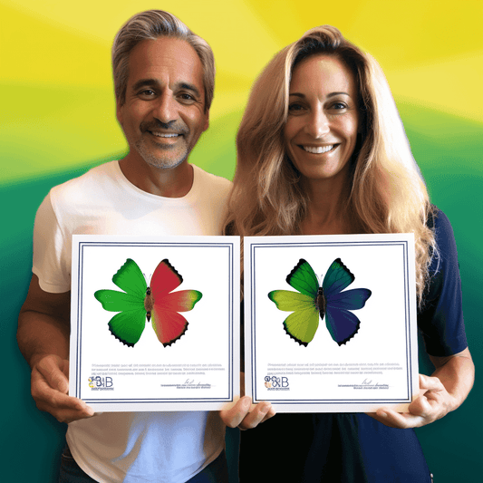 Curso de As Cinco Decisões de Compra - IBRATH Instituto Brasileiro de Terapias Holísticas teste031020231005