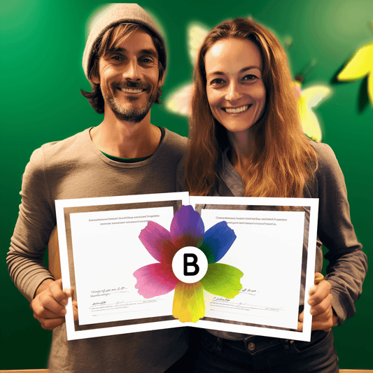 Curso de Curso gratuito de como iniciar um negócio a partir do zero em conhecimento, experiência e know-how [como lançar sua própria marca pessoal] - IBRATH Instituto Brasileiro de Terapias Holísticas teste031020231005